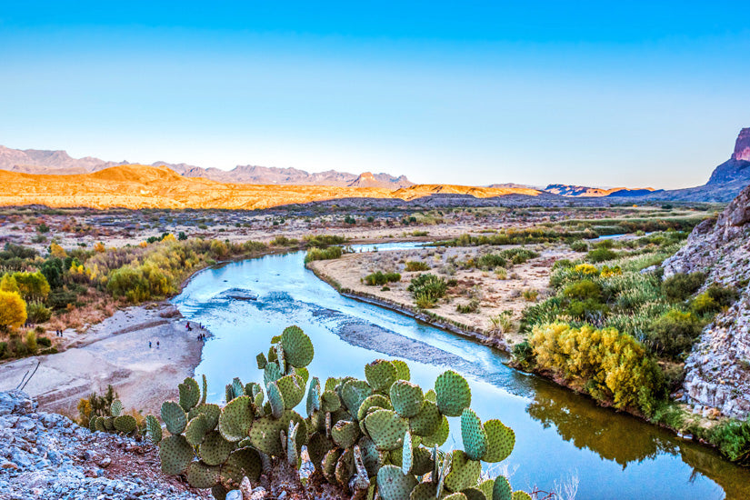 Macao Cosmetics - Texas - EDP 100ml - Eau de Parfum