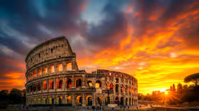 Macao Cosmetics - Rom - EDP 100ml - Eau de Parfum