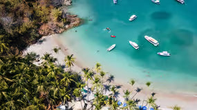 Macao Cosmetics - Cedros - EDP 100ml - Eau de Parfum