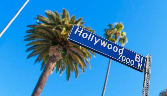 Macao Cosmetics - Hollywood - EDP 100ml - Eau de Parfum