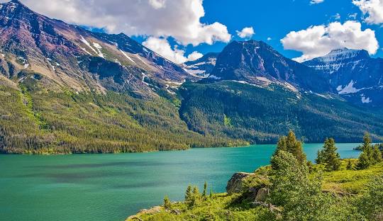 Macao Cosmetics - Montana - EDP 100ml - Eau de Parfum