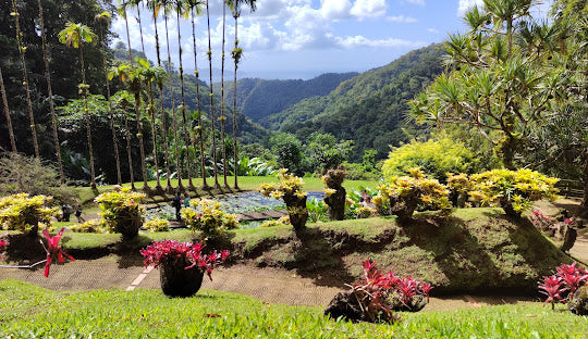 Macao Cosmetics - Martinique - EDP 100ml - Eau de Parfum